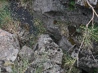 otta di Serra Pizzuta-20100602 156